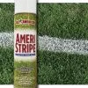 Ameri-Stripe Athletic Aerosol Field Marking Turf Paint, 18oz., WHITE