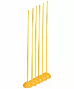 Champion Set of 6 Coaching Sticks w/ Base, CK 60