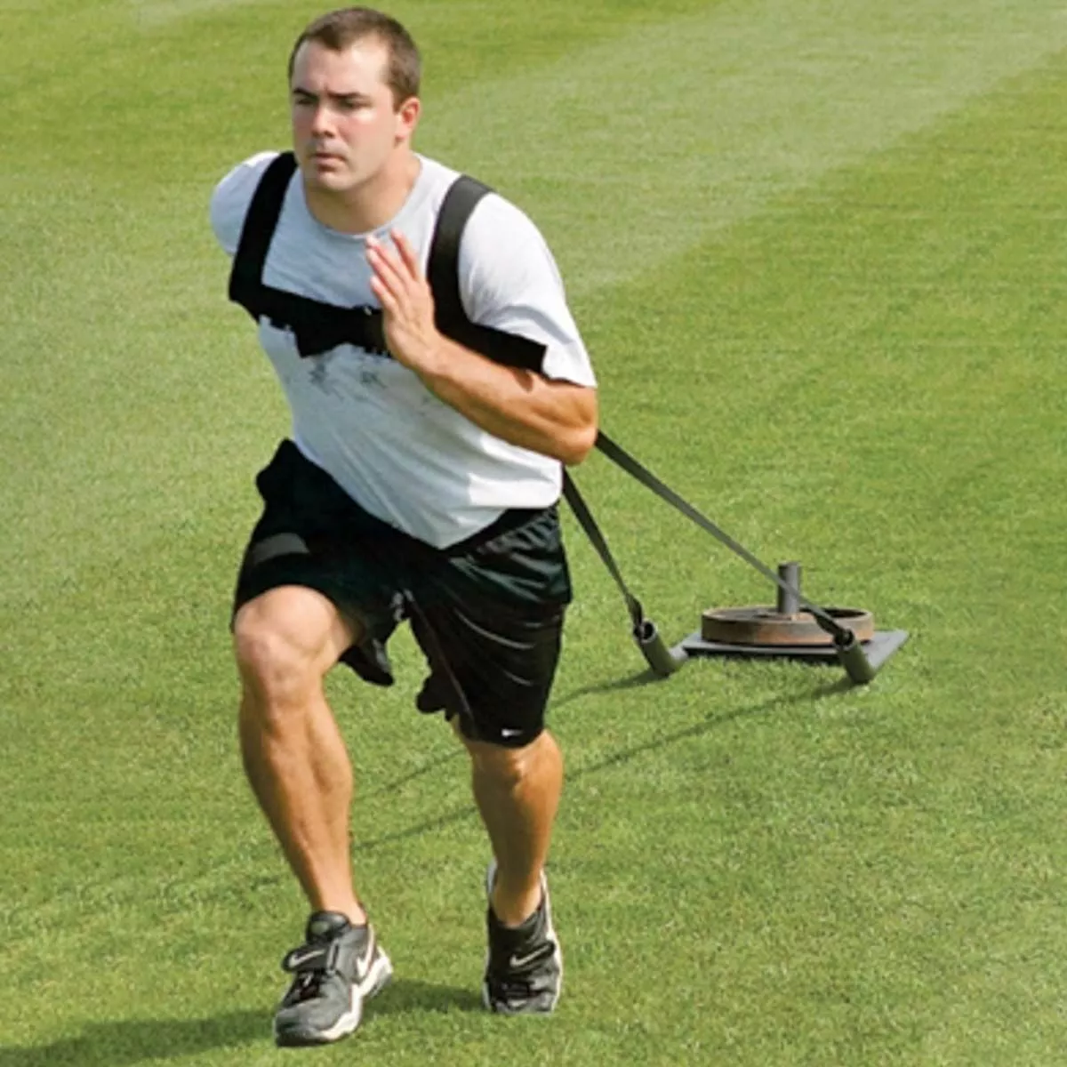 Power Max TA156 Training Sled w/ Harness 1 Power Max TA156 Training Sled w/ Harness