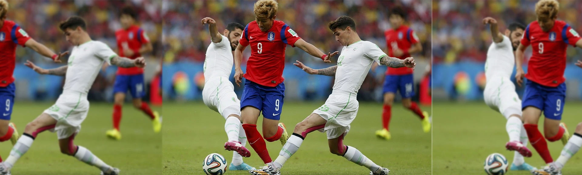 Soccer Shop -Soccer Shop 531